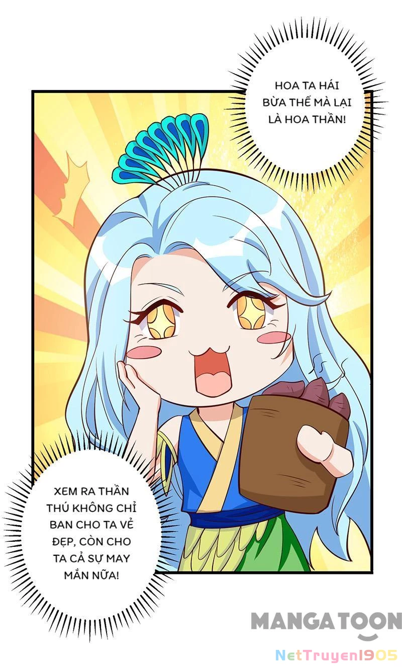 Thú Thế Cuồng Phi: Bất Đương Dị Giới Nữ Hải Vương Chapter 91 - 26