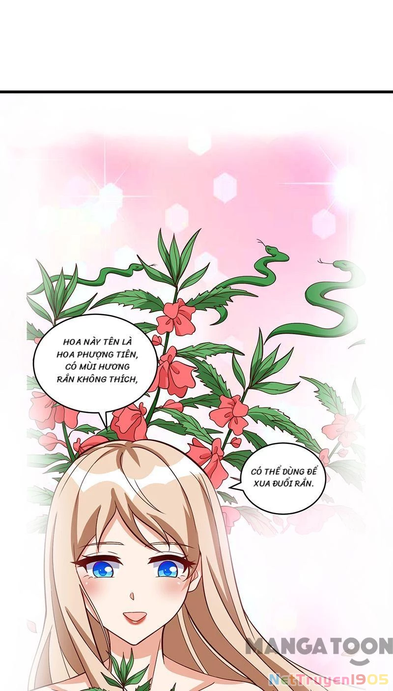 Thú Thế Cuồng Phi: Bất Đương Dị Giới Nữ Hải Vương Chapter 91 - 27