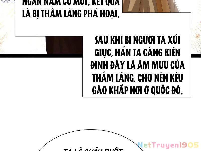 Chàng Rể Mạnh Nhất Lịch Sử Chapter 317 - 3