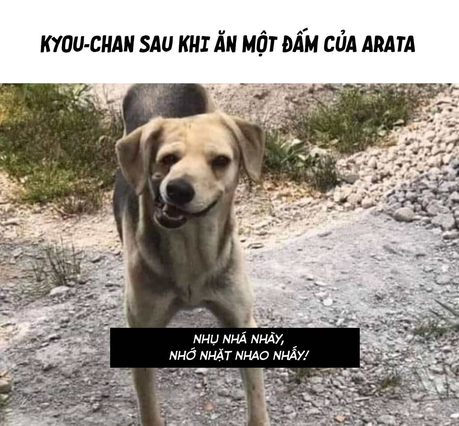 Những Đứa Trẻ Nhà Shiunji Chapter 54 - 25