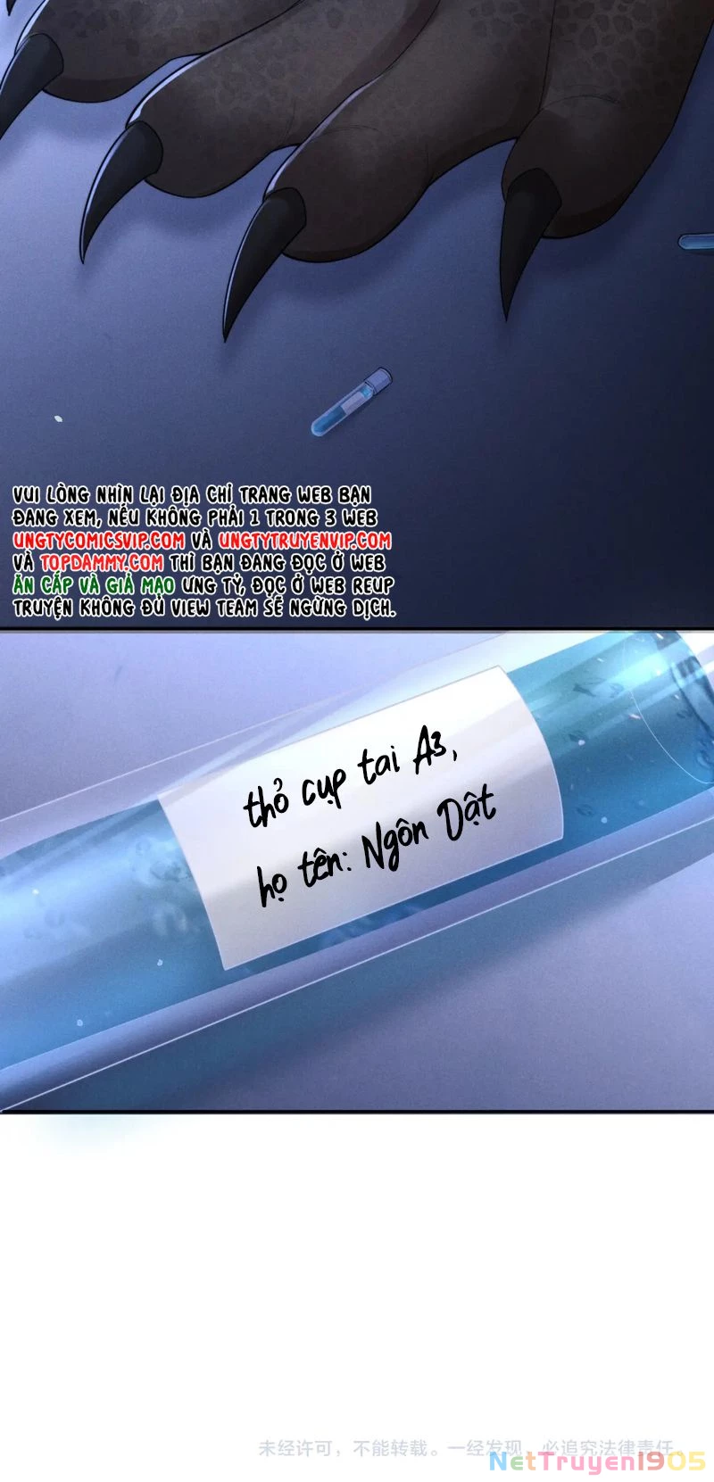 Chấp Sự Thỏ Cụp Tai Chapter 102 - 30