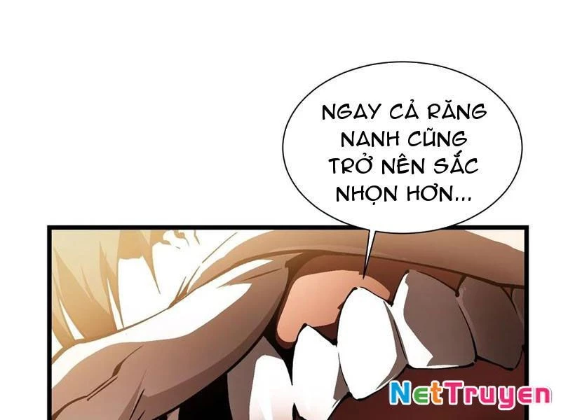 Cao Võ Tiến Hóa: Bắt Đầu Thức Tỉnh Quái Thú Chi Vương Chapter 41 - 111