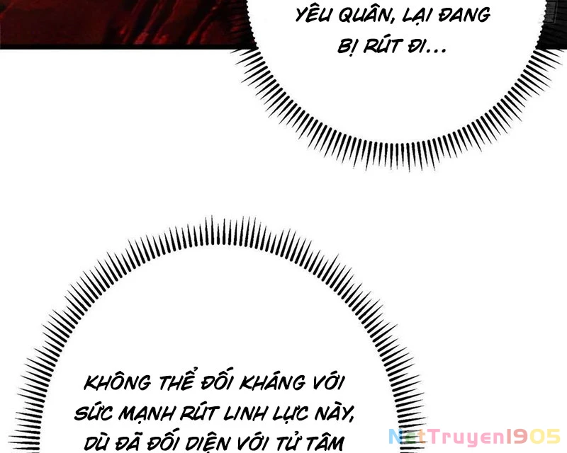 Chưởng Môn Khiêm Tốn Chút Chapter 532 - 66
