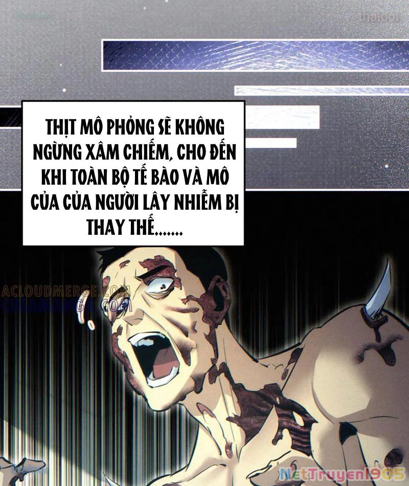 Mạt Thế Trùng Sinh: Ta Dựa Vào Mở Rương Vấn Dỉnh Đỉnh Phong Chapter 60 - 19