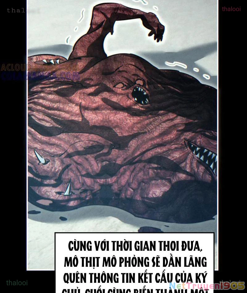 Mạt Thế Trùng Sinh: Ta Dựa Vào Mở Rương Vấn Dỉnh Đỉnh Phong Chapter 60 - 22