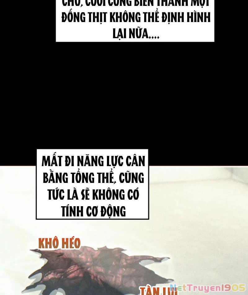 Mạt Thế Trùng Sinh: Ta Dựa Vào Mở Rương Vấn Dỉnh Đỉnh Phong Chapter 60 - 23