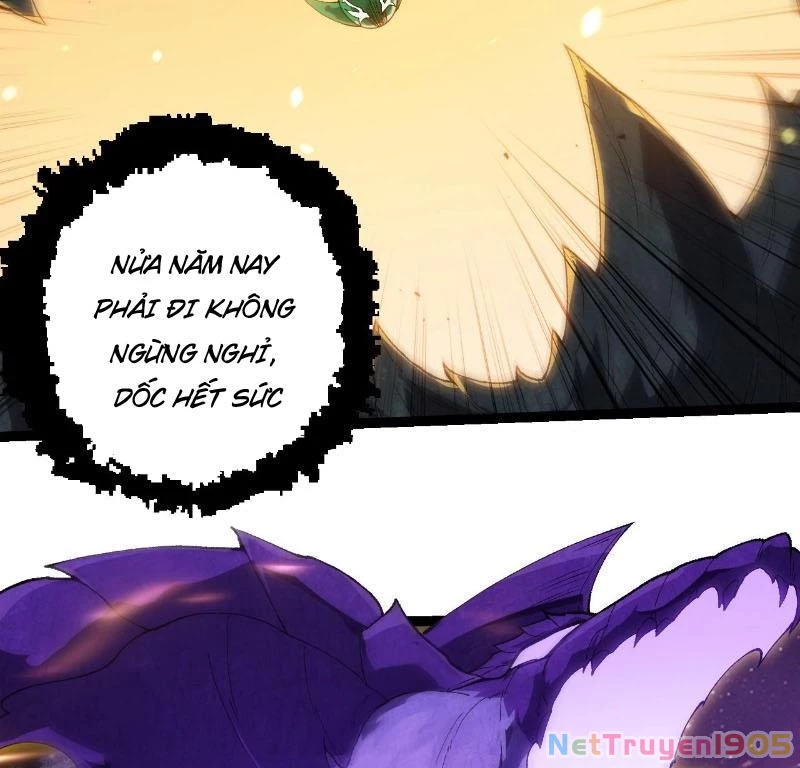 Chuyển Sinh Thành Liễu Đột Biến Chapter 405 - 3