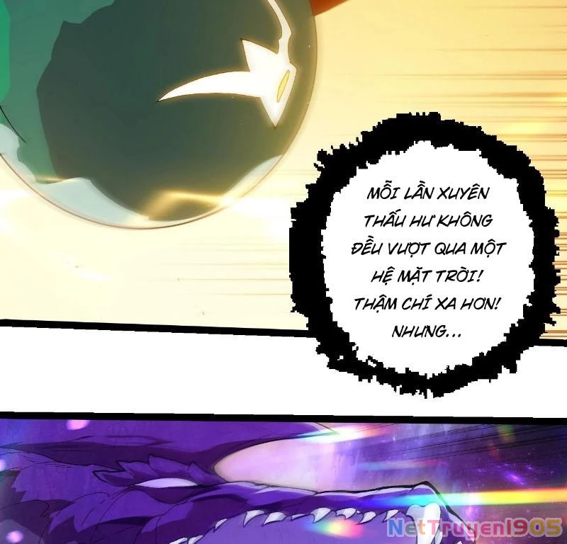 Chuyển Sinh Thành Liễu Đột Biến Chapter 405 - 11