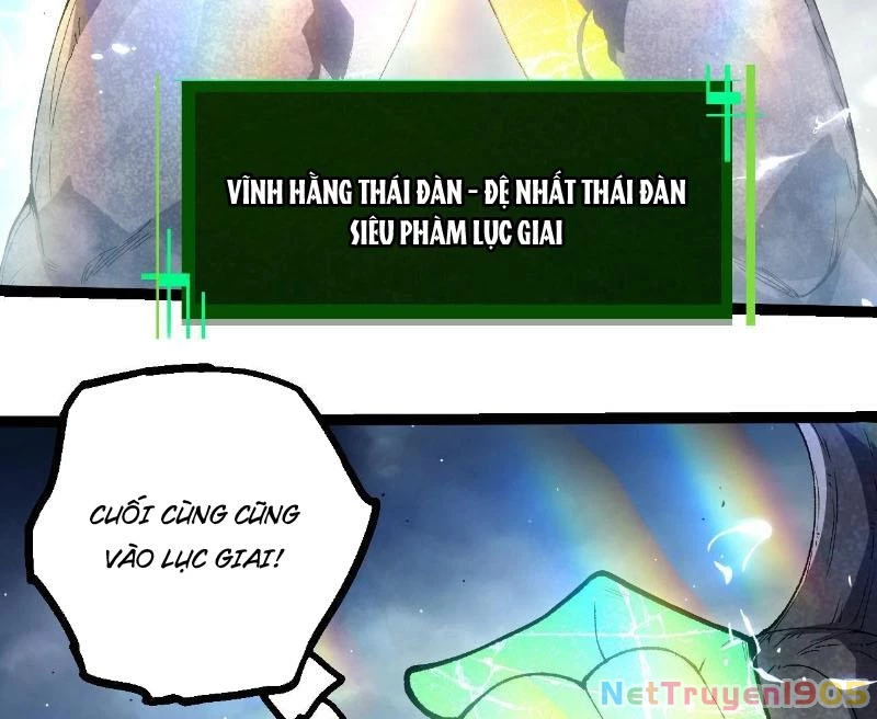 Chuyển Sinh Thành Liễu Đột Biến Chapter 405 - 51