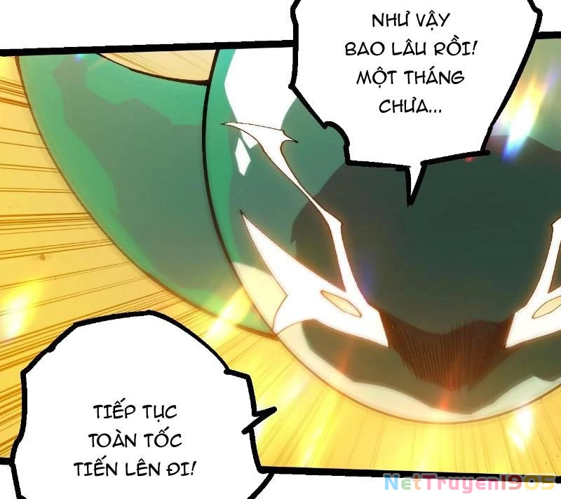 Chuyển Sinh Thành Liễu Đột Biến Chapter 405 - 69