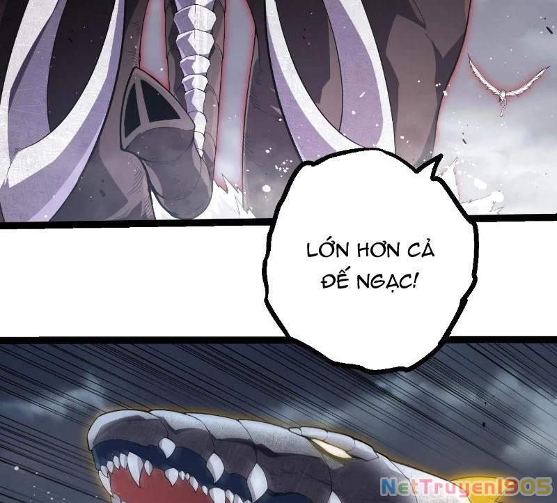 Chuyển Sinh Thành Liễu Đột Biến Chapter 406 - 5