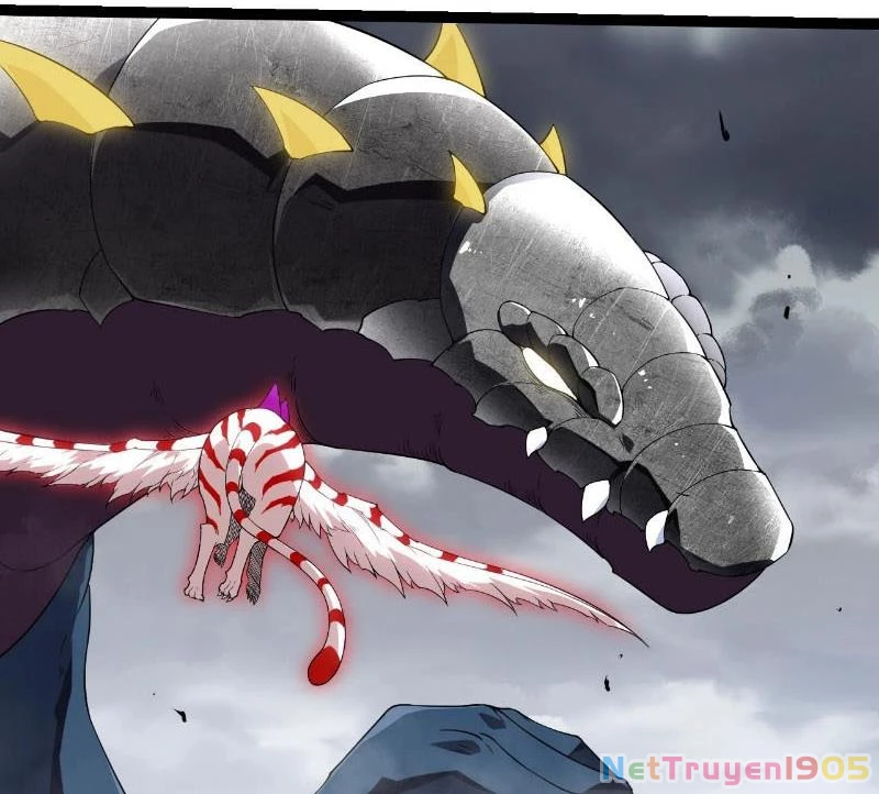 Chuyển Sinh Thành Liễu Đột Biến Chapter 406 - 7