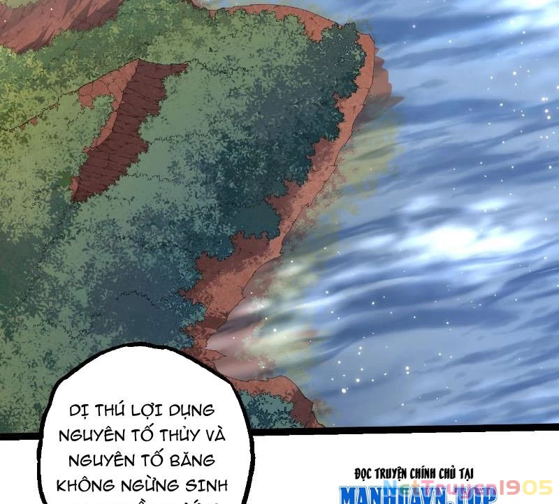 Chuyển Sinh Thành Liễu Đột Biến Chapter 406 - 13