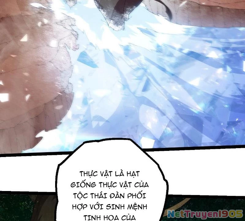 Chuyển Sinh Thành Liễu Đột Biến Chapter 406 - 16