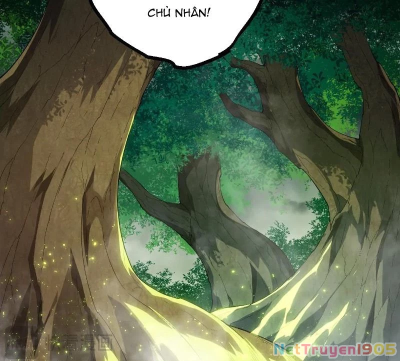 Chuyển Sinh Thành Liễu Đột Biến Chapter 406 - 17
