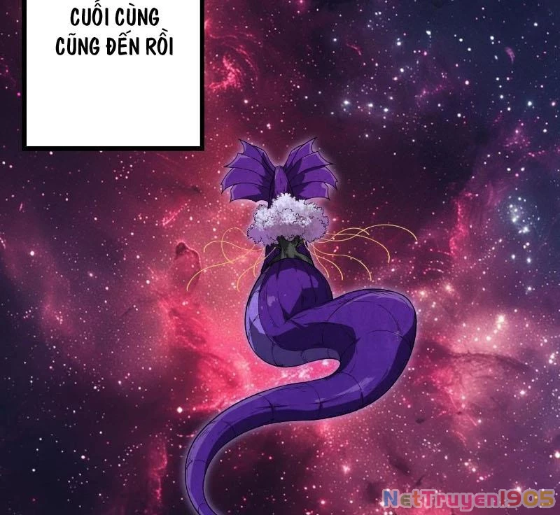 Chuyển Sinh Thành Liễu Đột Biến Chapter 406 - 44