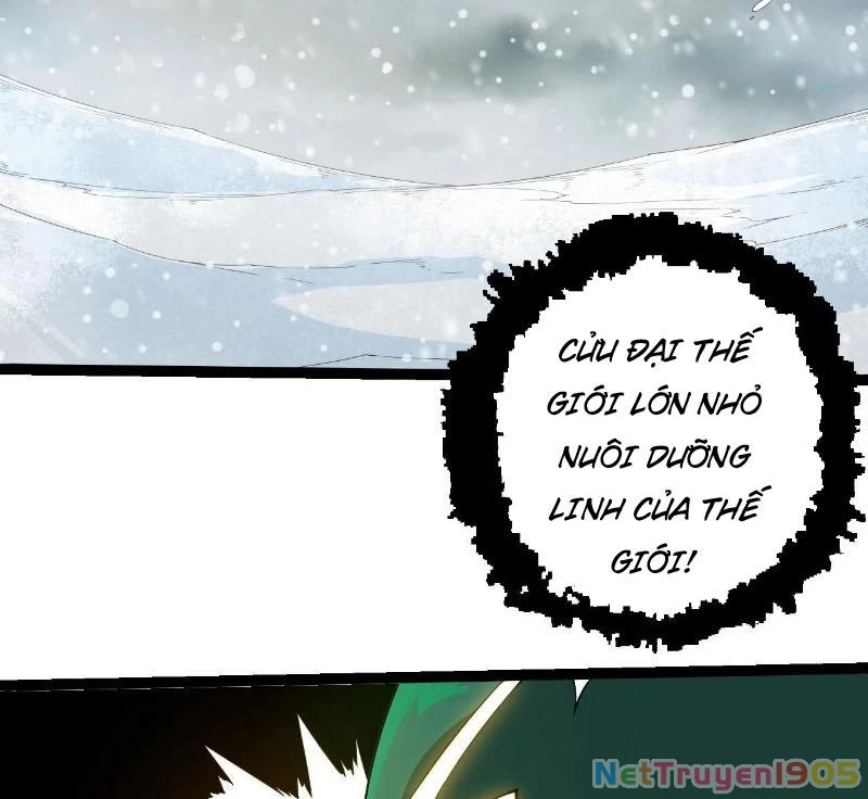 Chuyển Sinh Thành Liễu Đột Biến Chapter 406 - 55