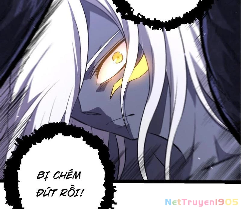 Chuyển Sinh Thành Liễu Đột Biến Chapter 407 - 33