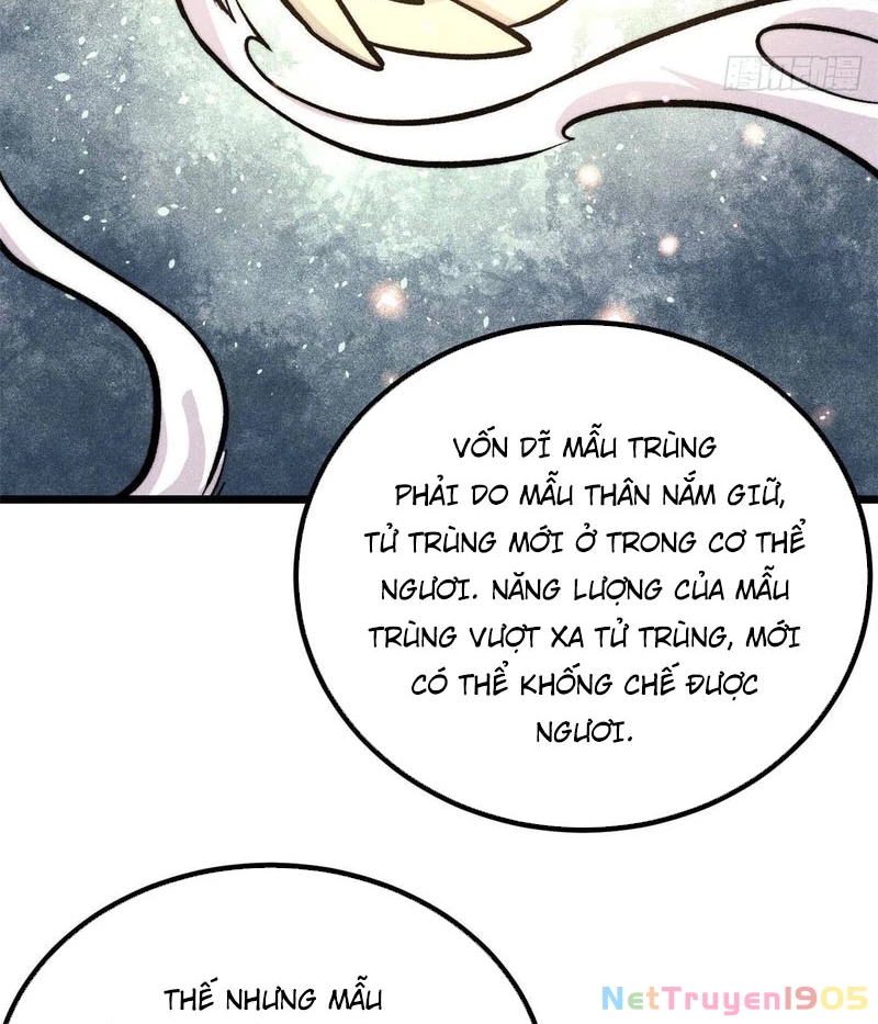 Vạn Cổ Tối Cường Tông Chapter 443 - 2