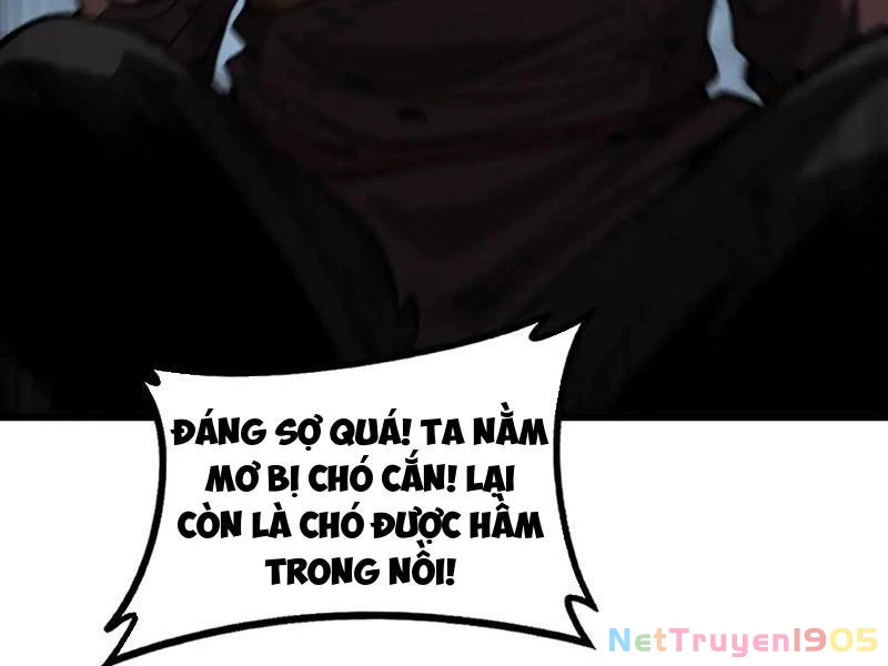 Lão xà tu tiên truyện Chapter 50 - 7