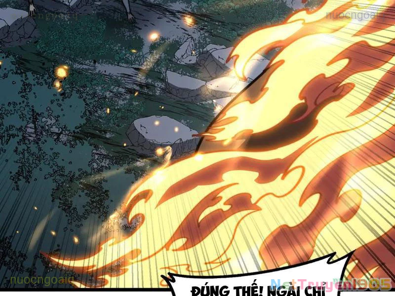 Lão xà tu tiên truyện Chapter 50 - 48