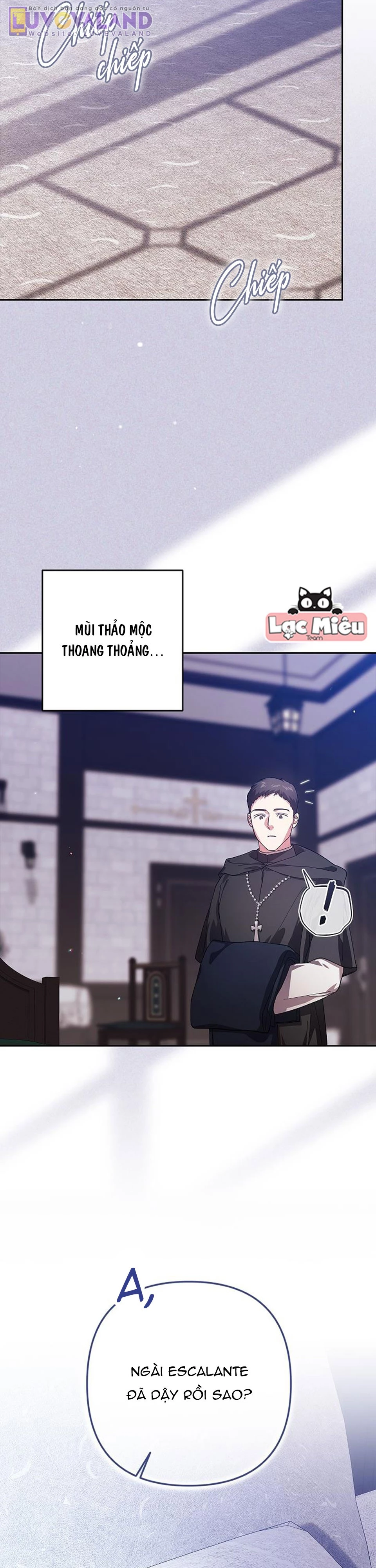 Hôn Nhân Này Rồi Sẽ Đổ Vỡ Chapter 101 - 83