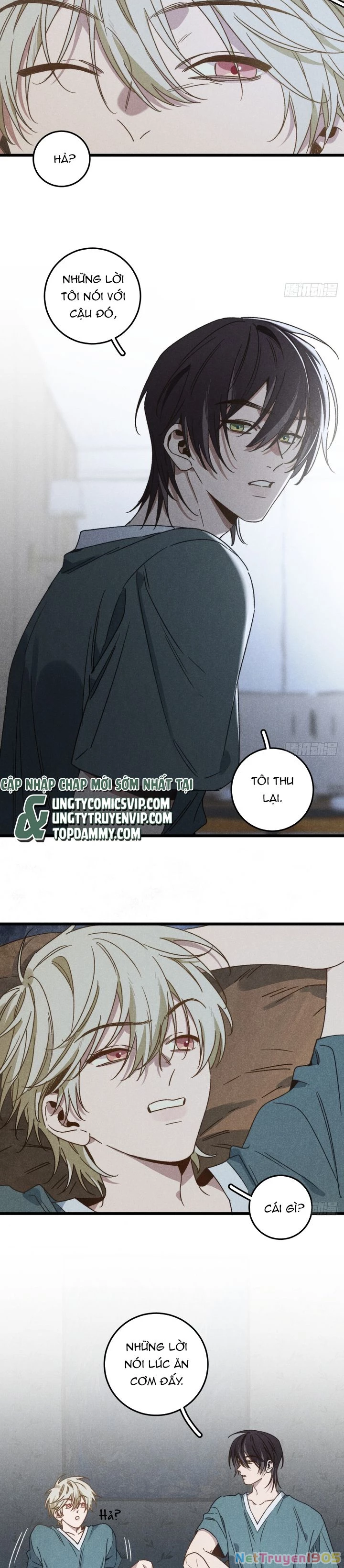 Tôi Không Cùng Anh Đến Vùng Đất Bắp Ngô Đâu! Chapter 41 - 5