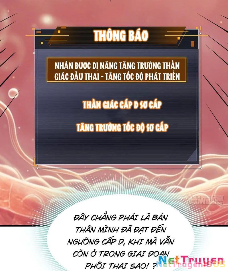 Sau Khi Đầu Thai, Ta Được Kẻ Thù Khắc Thành Vô Địch Chapter 1 - 51