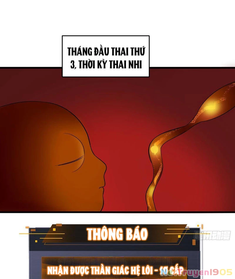 Sau Khi Đầu Thai, Ta Được Kẻ Thù Khắc Thành Vô Địch Chapter 1 - 64