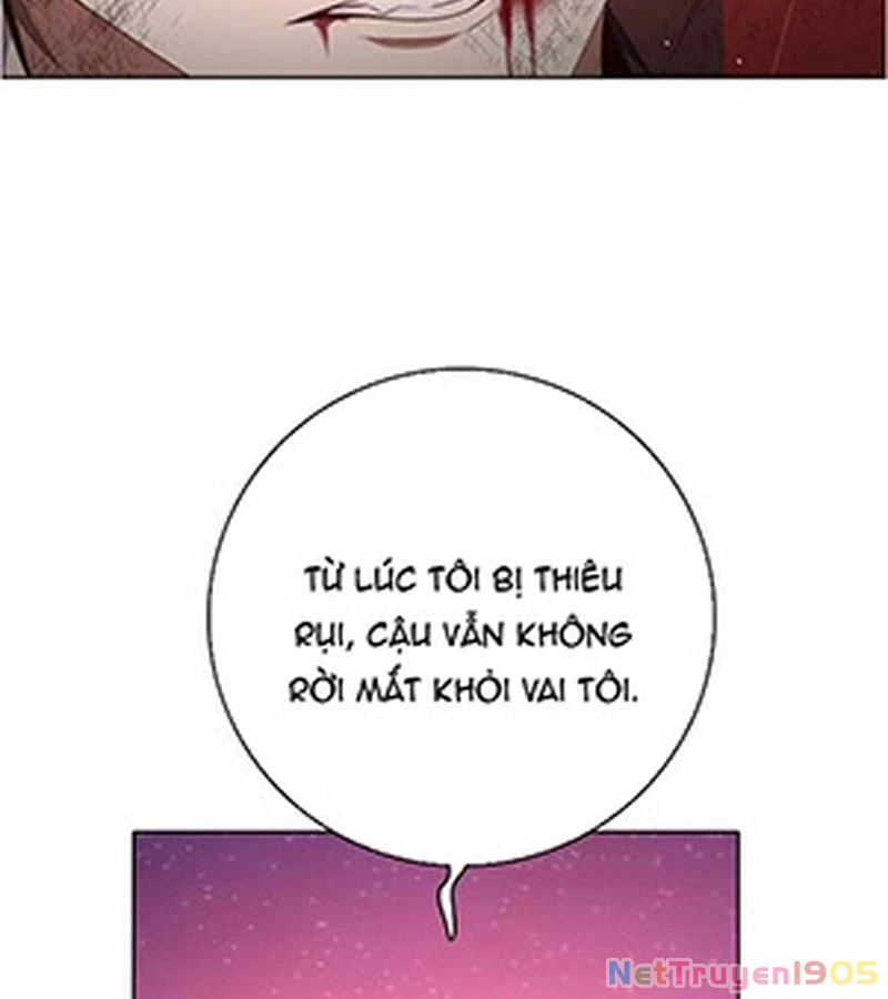 Zero Game Chapter 285 - 47
