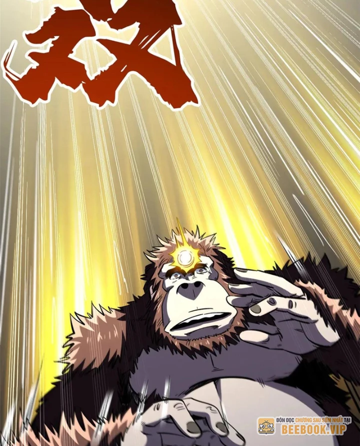 Siêu Cấp Thần Cơ Nhân Chapter 375 - 48