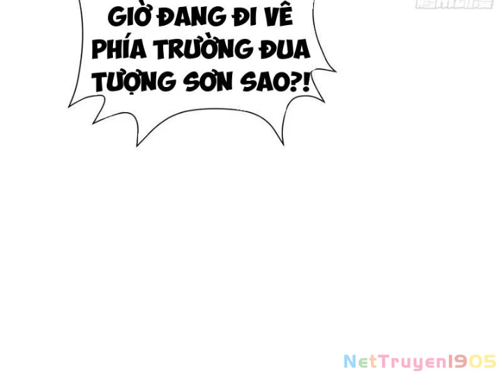 Trùng Sinh Tại Thế Giới Tu Chân, Ta Giết Tới Đỉnh Chapter 25 - 53