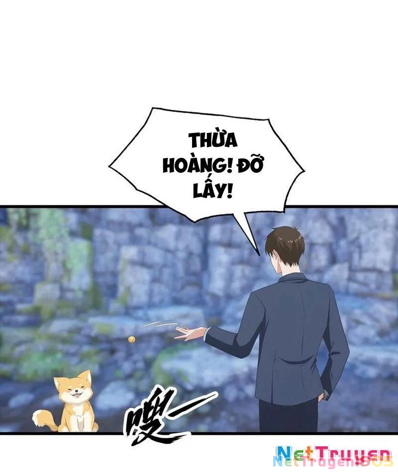 Đô Thị Thánh Thủ: Ta Là Y Võ Đỉnh Phong Chapter 134 - 41