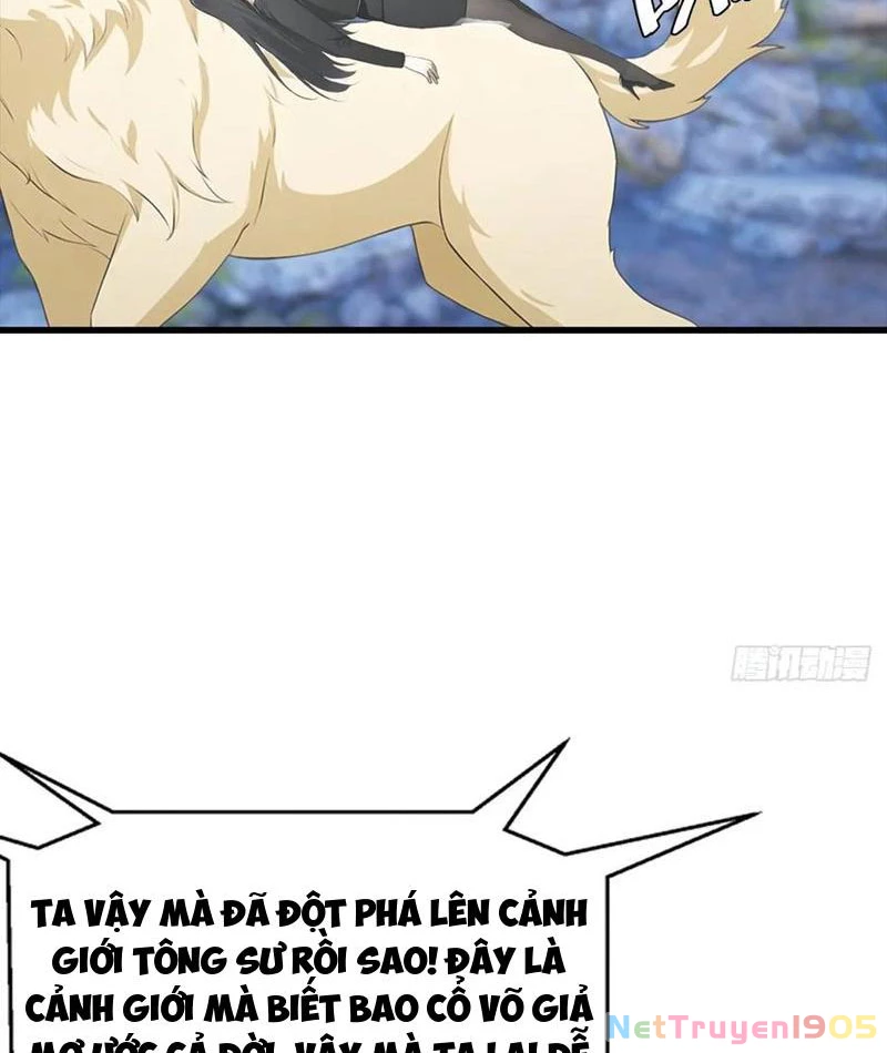 Đô Thị Thánh Thủ: Ta Là Y Võ Đỉnh Phong Chapter 134 - 47