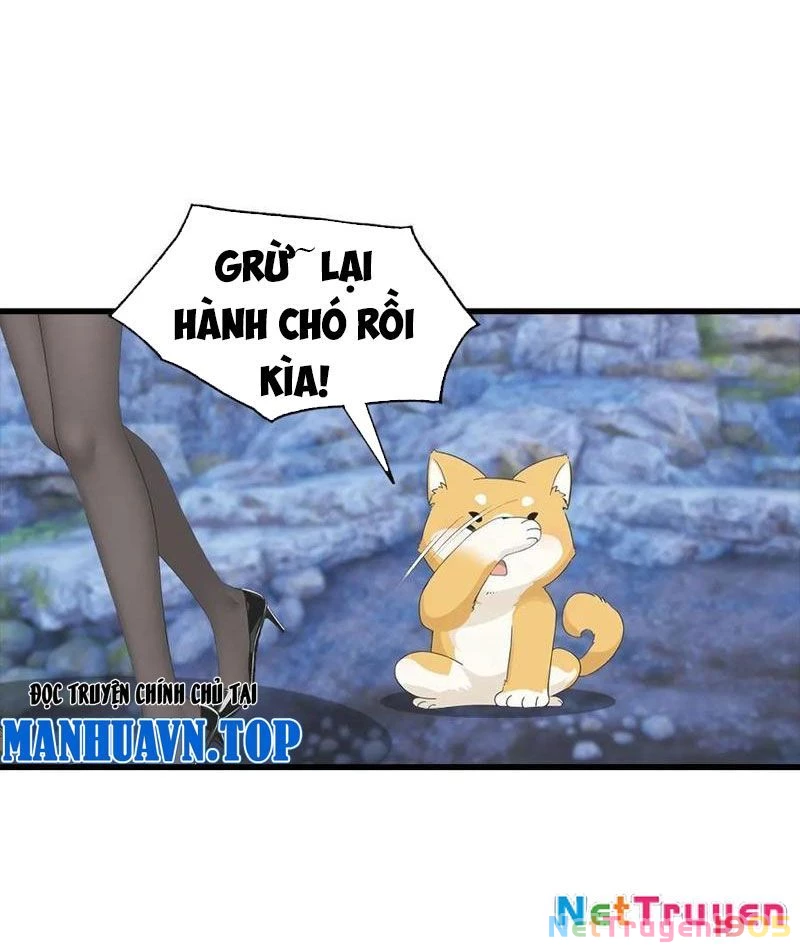 Đô Thị Thánh Thủ: Ta Là Y Võ Đỉnh Phong Chapter 134 - 51