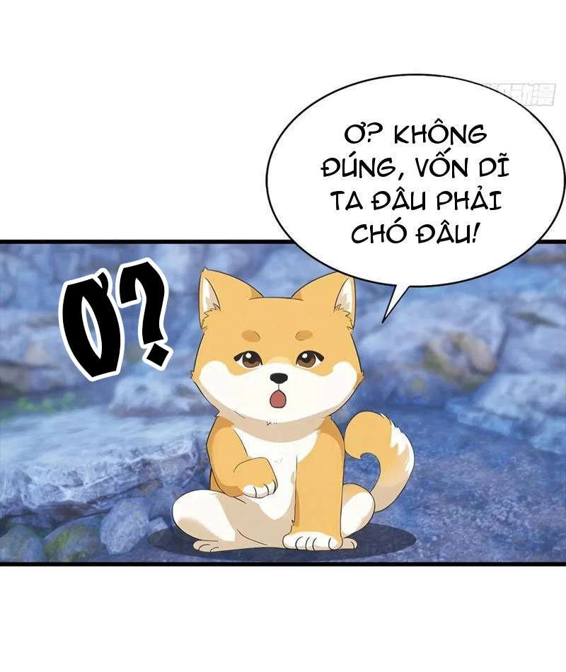 Đô Thị Thánh Thủ: Ta Là Y Võ Đỉnh Phong Chapter 134 - 52