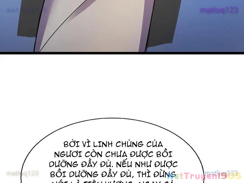 Ngủ Say Vạn Cổ: Xuất Thế Quét Ngang Chư Thiên Chapter 114 - 63