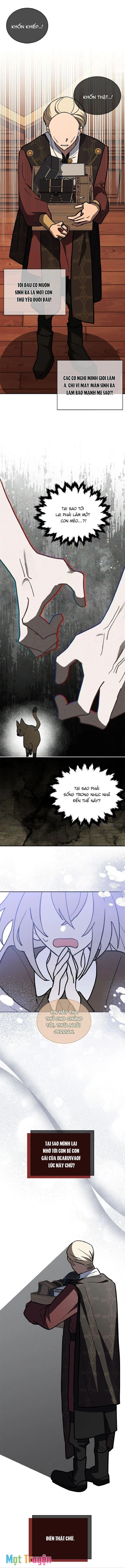Mèo Con Được Gia Tộc Sói Nhận Nuôi? Chapter 61 - 6