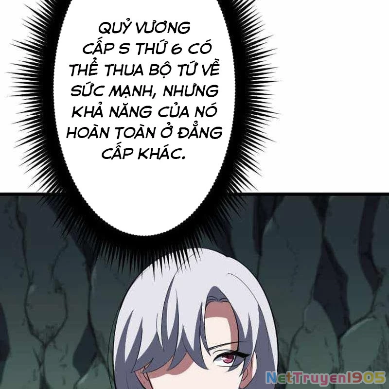 Vô Song Cùng Với Vũ Khí Ẩn Chapter 64 - 109
