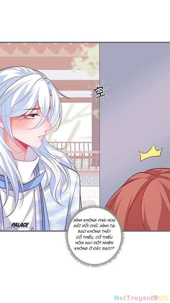 Oxy Gây Chết Người Chapter 40 - 6