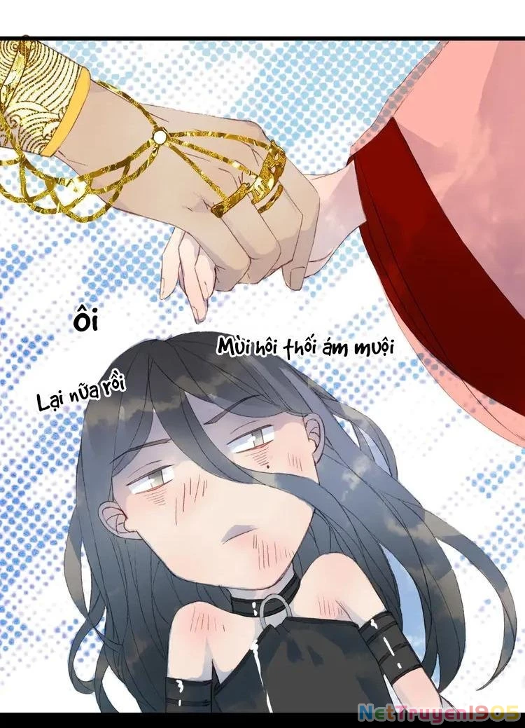 Mộng Tưởng Chưa Đến Ngàn Năm Chapter 2 - 33