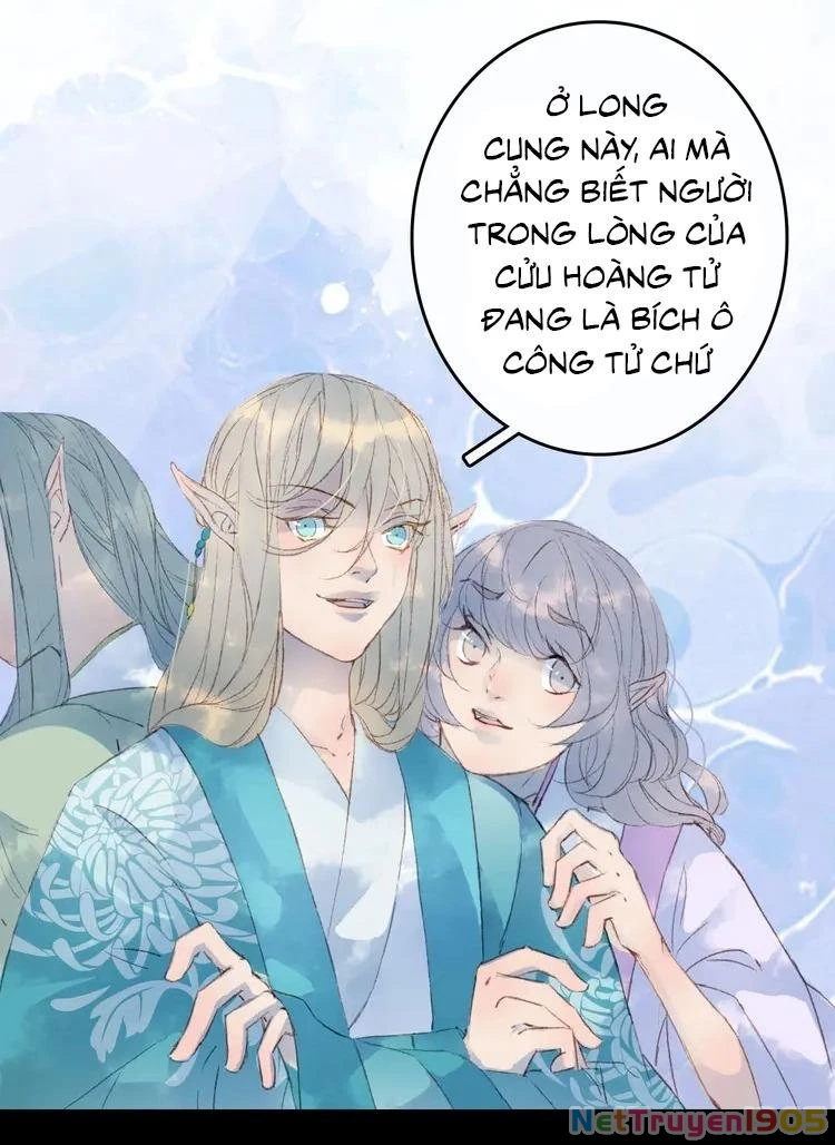 Mộng Tưởng Chưa Đến Ngàn Năm Chapter 5 - 13