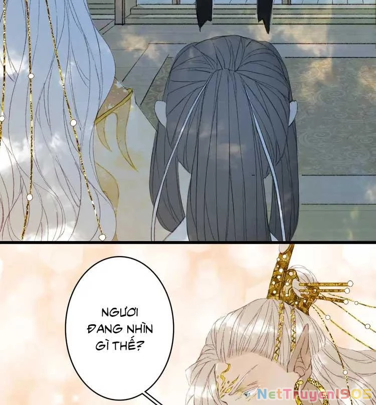 Mộng Tưởng Chưa Đến Ngàn Năm Chapter 11 - 39