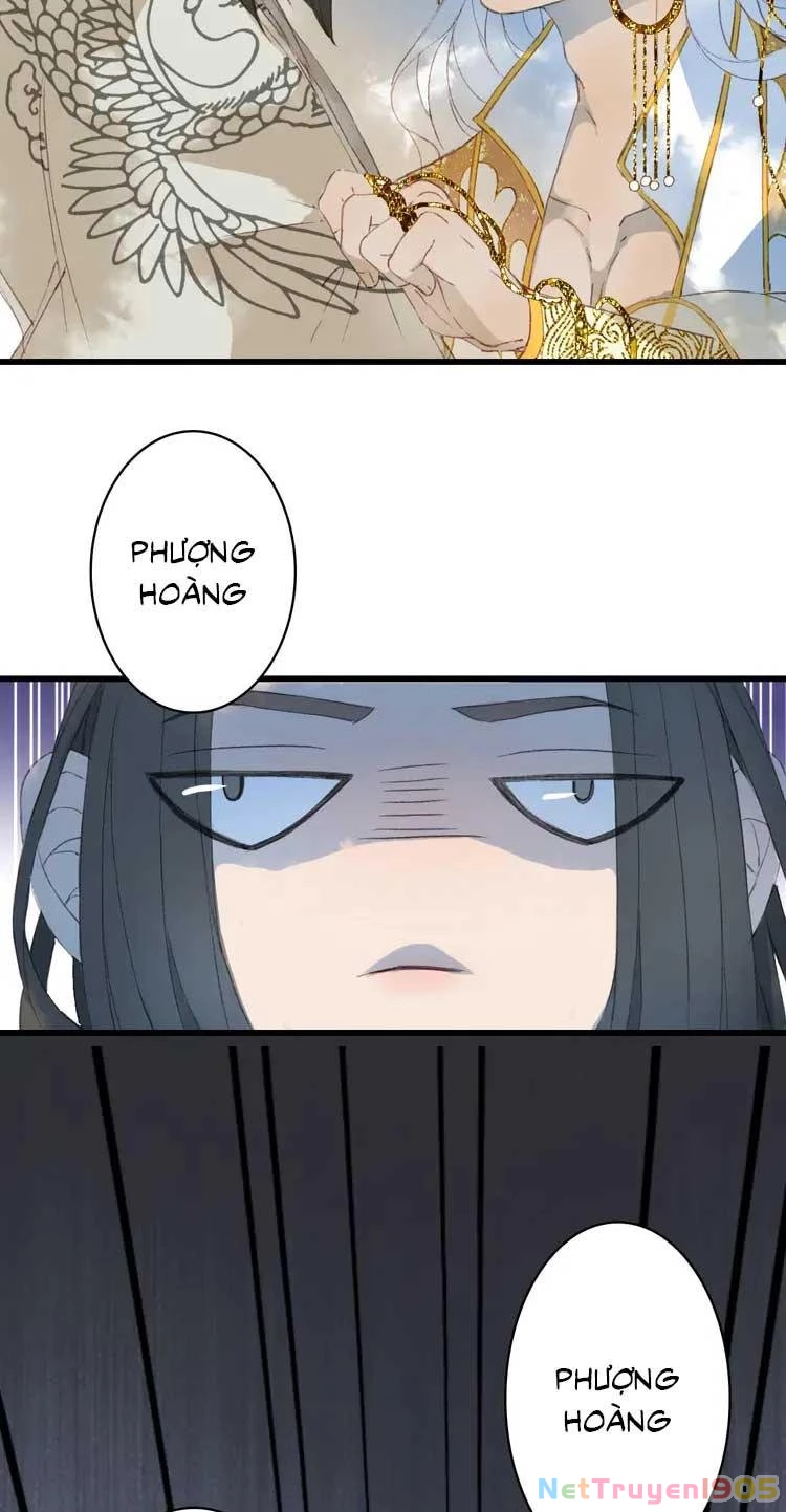 Mộng Tưởng Chưa Đến Ngàn Năm Chapter 11 - 50