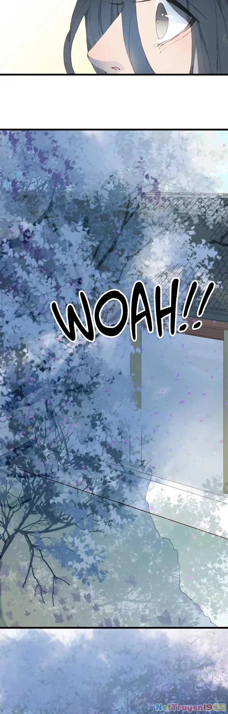 Mộng Tưởng Chưa Đến Ngàn Năm Chapter 18 - 12