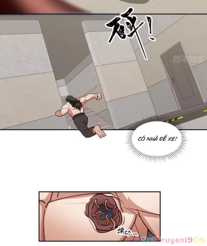 Tiến Hóa Ban Đầu Chapter 9 - 56