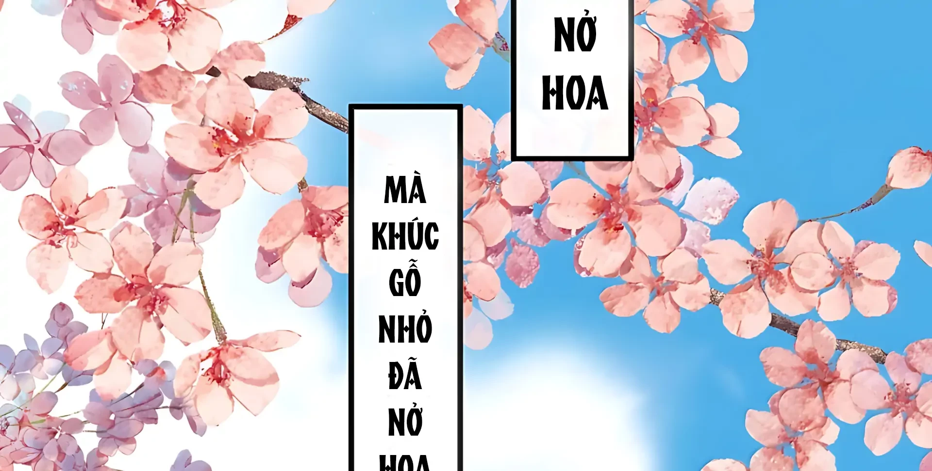 Nghe Nói Thái Hậu Với Thái Hậu Là Thật Sao? Chapter 100 - 78