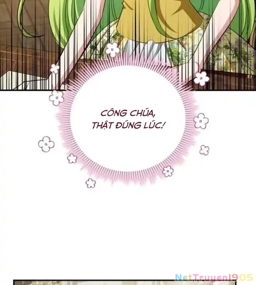 Đã Bảo Nữ Chính Đang Cải Trang Cơ Mà! Chapter 57 - 68