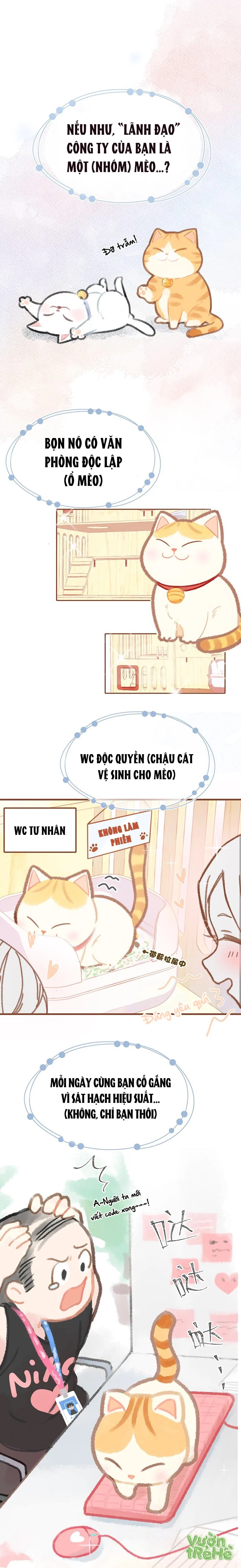 Lục Lạc Mèo Chapter 0 - 2