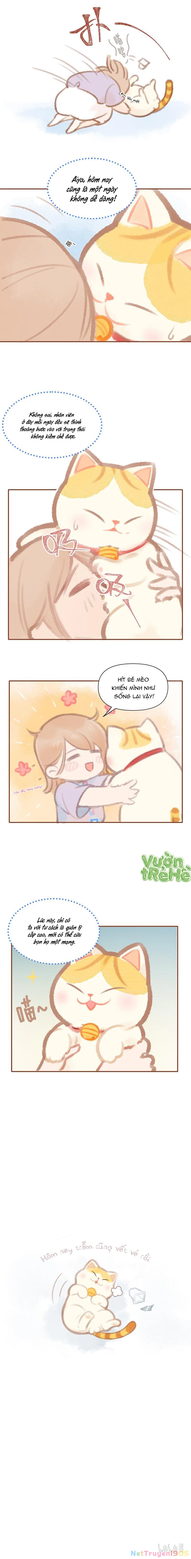 Lục Lạc Mèo Chapter 1 - 4